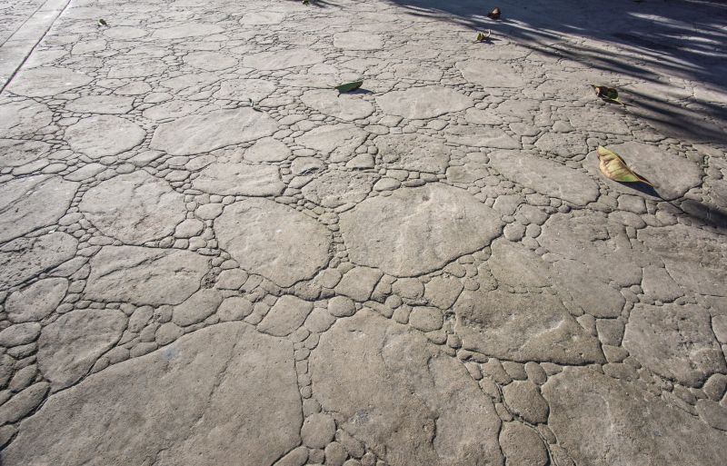 Decorative Concrete Repair in Daytona Beach, FL