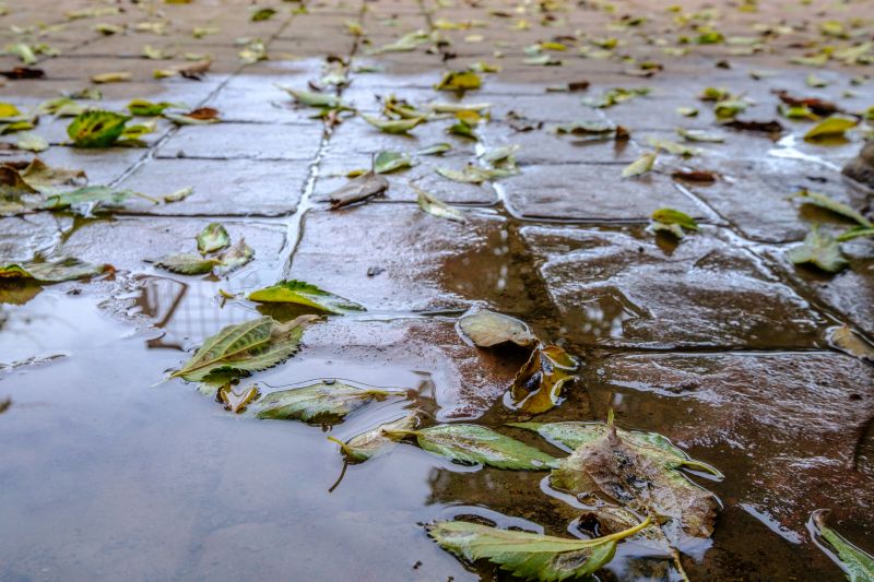 Decorative Concrete Repair in Manassas, VA